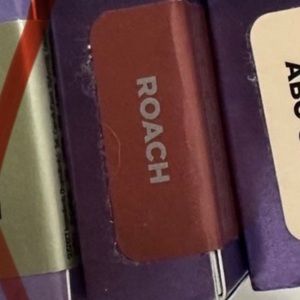 Urban decay, eyeshadow, roach